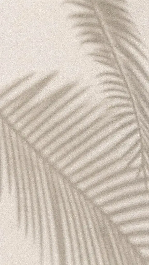 Soft palm frond shadow on a warm stone wall