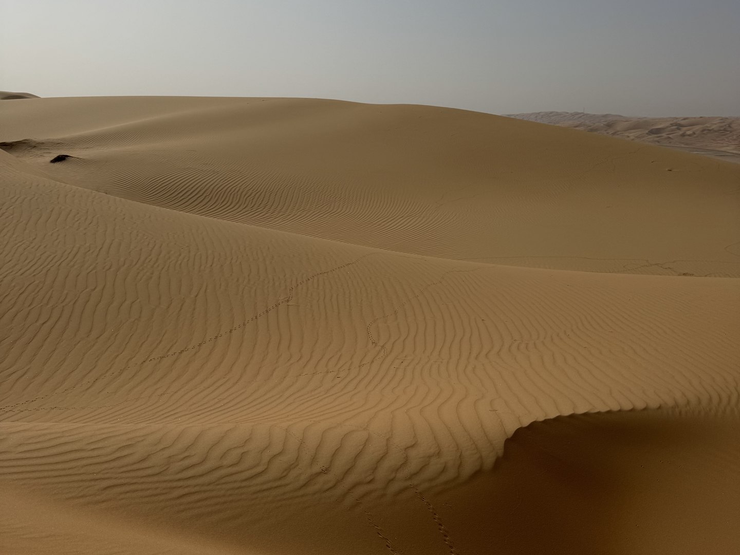Wind-rippled sand dunes in Liwa under a pale sky